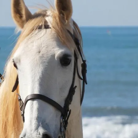 En Bord De Mer, Piscine, Climatisation, Parking Prive Et Wifi アパート