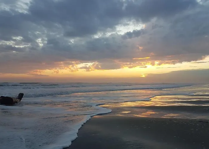 En Bord De Mer, Piscine, Parking Prive Et Wifi 拉格朗德默特